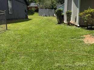 Maham A.'s Bush Trimming service result