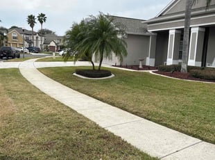 Pam H.'s turf care service result