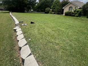 Jermaine L.'s lawn care service result