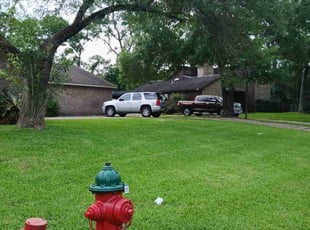 Thomas C.'s turf care service result