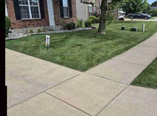 Arlette E.'s turf care service result