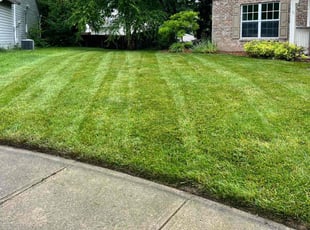Yrvin Q.'s lawn care service result