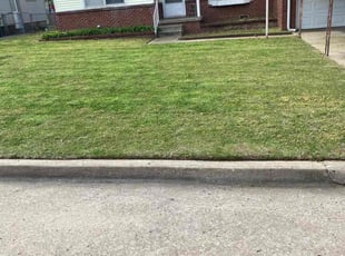 Ms L.'s grass maintenance service result