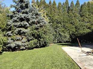 Jonah H.'s lawn care service result