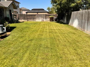 Diana M.'s grass maintenance service result