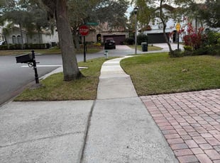 Teri J.'s Leaf Removal service result