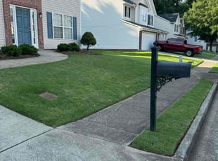 Lynden H.'s yard care service result