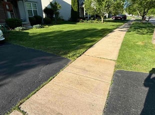 Stephen H.'s lawn maintenance service result