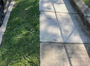 Philip M.'s grass cutting service result