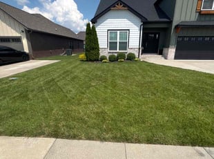 Barbara E.'s lawn maintenance service result