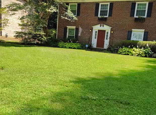 Bill N.'s lawn maintenance service result