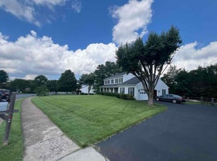 Vinh T.'s lawn care service result