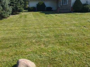 Lynn N.'s lawn care services service result