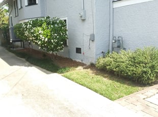 Cynthia S.'s Bush Trimming service result