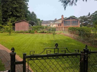 Vendra C.'s turf maintenance service result