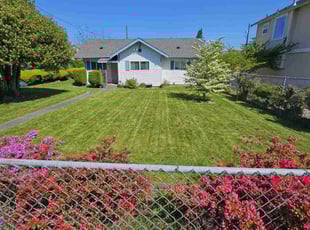Tammy D.'s turf care service result