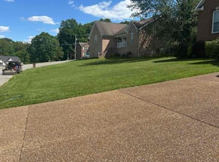 Ashley B.'s turf care service result