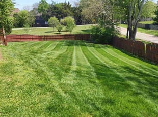 Ulrike P.'s lawn care services service result