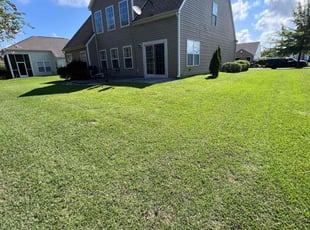 Samantha D.'s turf care service result