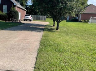 Anthony N.'s turf maintenance service result