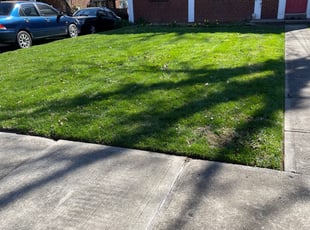 Rafika V.'s grass cutting service result