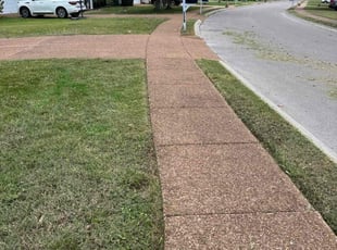 Joel M.'s lawn maintenance service result