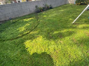Richele K.'s grass cutting service result