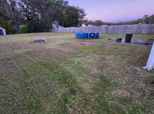 Diane N.'s turf maintenance service result