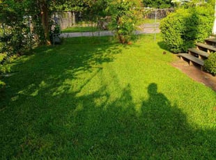 Nancy B.'s turf maintenance service result