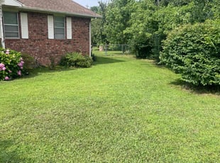 Kremena T.'s turf maintenance service result