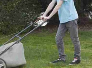 Stanley O.'s Leaf Removal service result