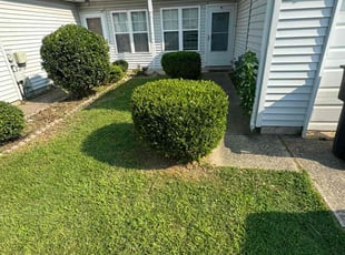 Mallori M.'s lawn care service result