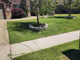 Pahola O.'s lawn maintenance service result