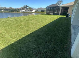 Wendy B.'s turf maintenance service result