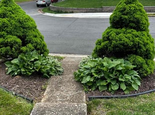 Andrew L.'s grass cutting service result