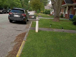 Caleb C.'s lawn maintenance service result