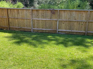 Michael F.'s turf care service result