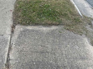 Jacqueline M.'s lawn maintenance service result