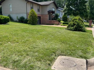 Maranatha C.'s lawn maintenance service result