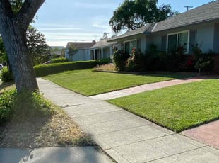 Josh D.'s lawn care services service result