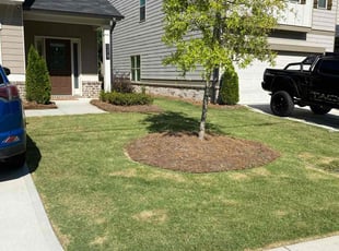 Christopher E.'s turf care service result