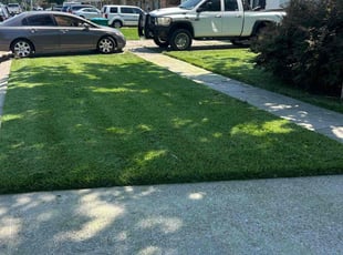 Margarette J.'s lawn care service result