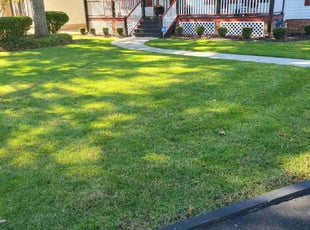 Jaquanna H.'s turf care service result