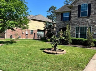 Marianne M.'s gardening service service result