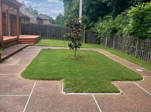 Michael D.'s yard service service result