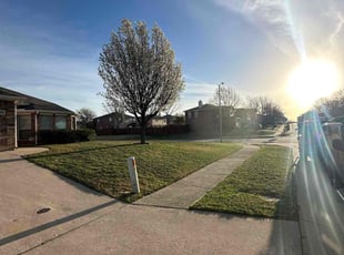 Lori W.'s turf maintenance service result