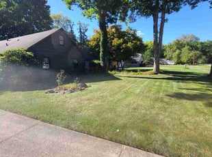 Tammy F.'s grass maintenance service result