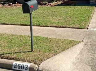 Dave O.'s lawn maintenance service result