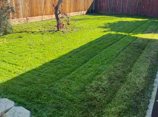 Kerri N.'s lawn service service result