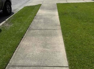 Precious M.'s turf maintenance service result
